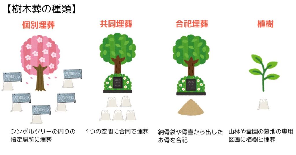 樹木葬の種類による埋葬方法の違い、個別埋葬・共同埋葬・合祀埋葬・植樹