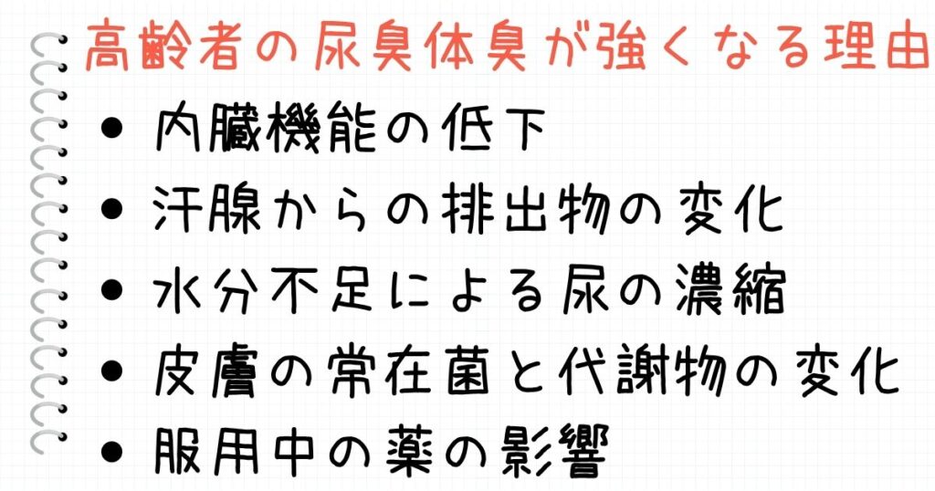高齢者の尿臭や体臭がキツくなる・強くなる・臭い理由
