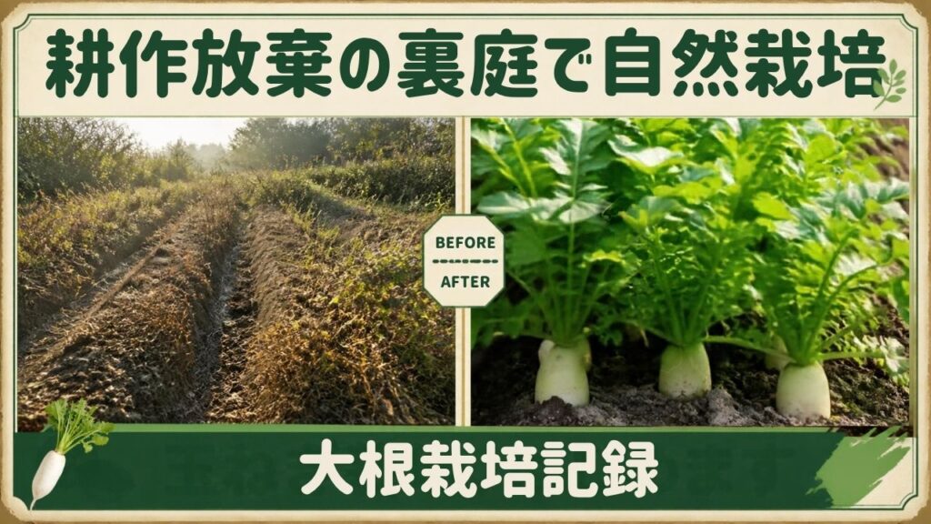 耕作放棄地の裏庭で自然栽培 垂直栽培 垂直仕立て栽培 大根栽培 日記 記録